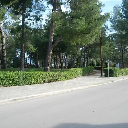 Prigipikon And Sofites 2*