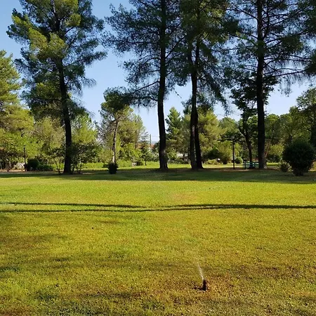 Prigipikon And Sofites Hotel 2*